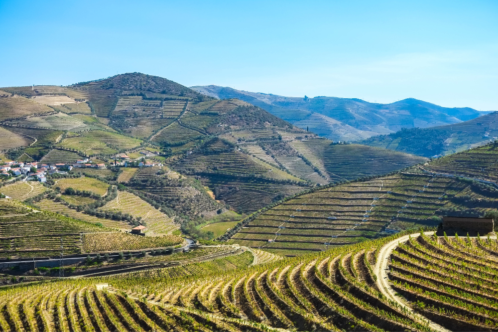 Douro Valley Wine, Scenery & Relaxation